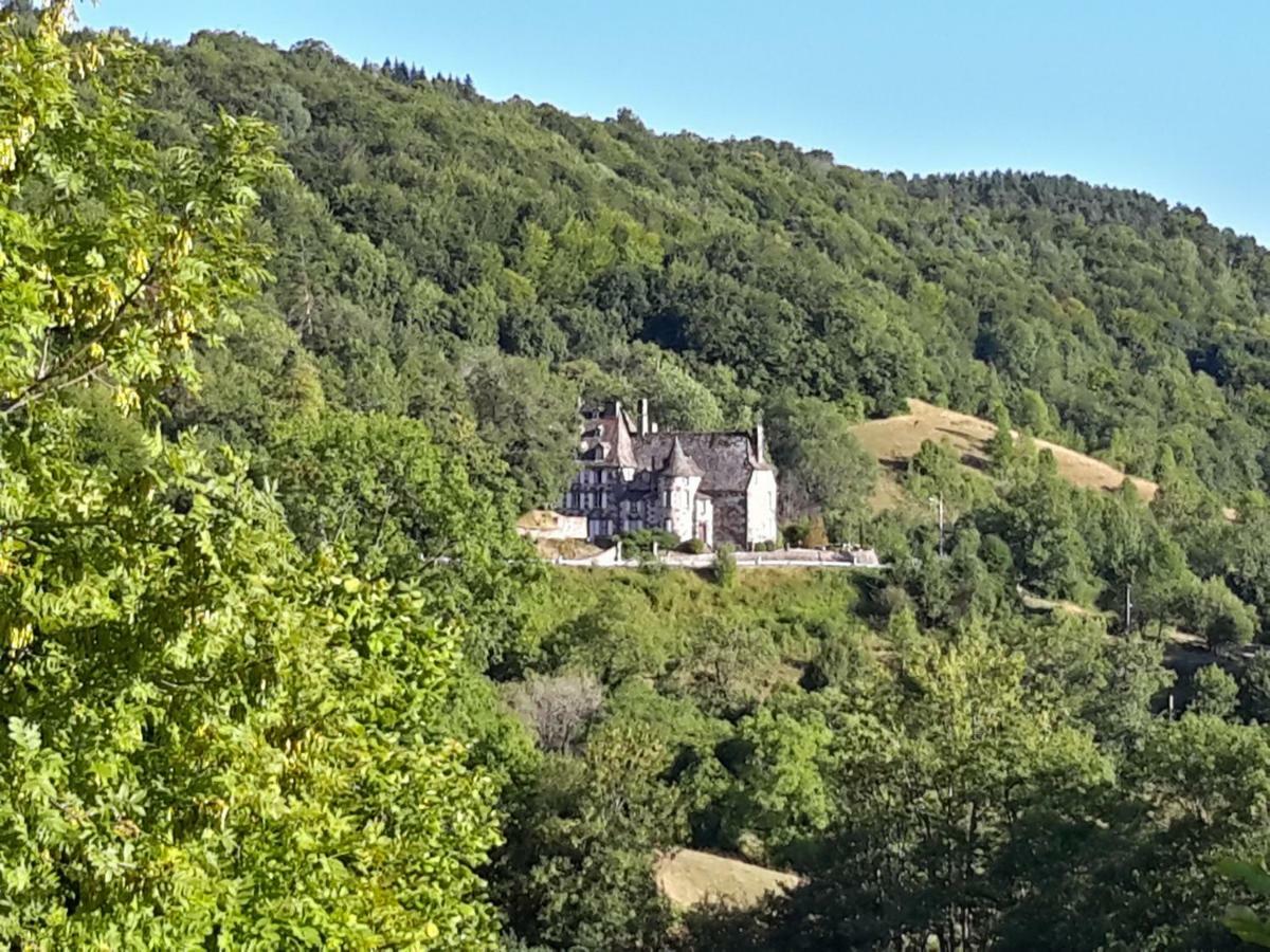 Chateau De Courbelimagne, Raulhac 외부 사진